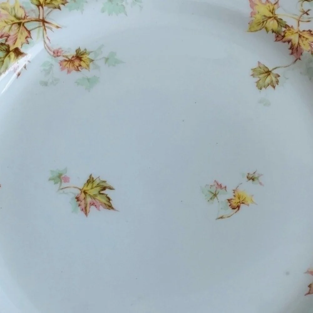 Vintage HAVILAND LIMOGES France Autumn Leaf Dinner Plate 9.75